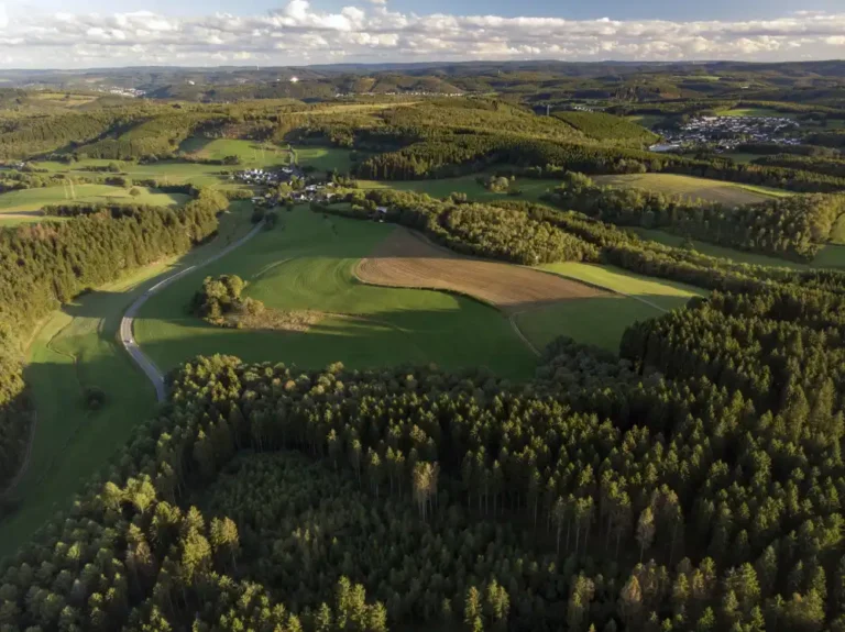 Aerial view of empty land representing real estate investment and asset diversification concept.